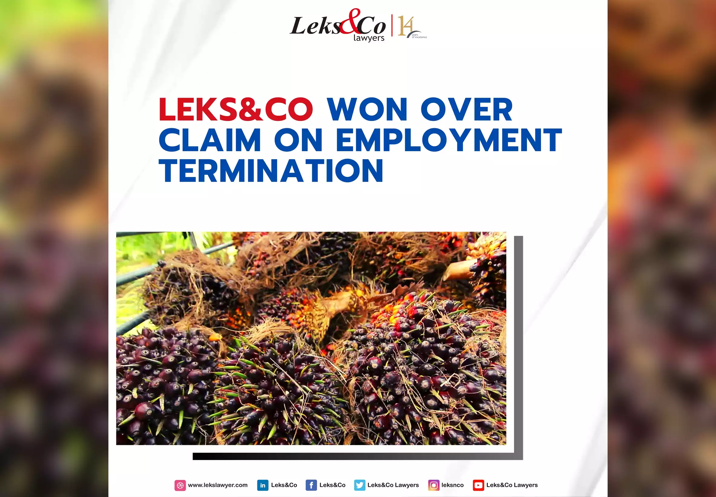 Leks&Co Won over Claim on Employment Termination